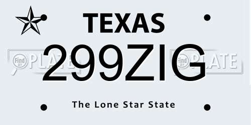 299ZIG Texas License Plate