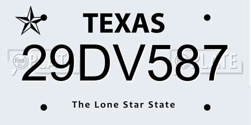 29DV587 Texas License Plate
