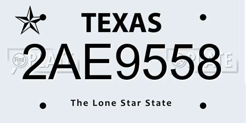 2AE9558 Texas License Plate