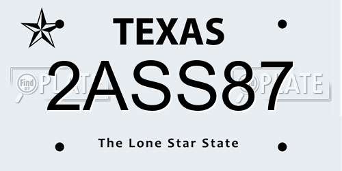 2ASS87 Texas License Plate