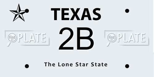 2B Texas License Plate