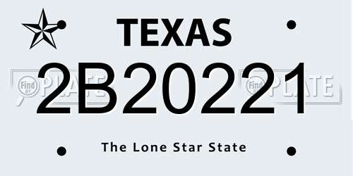 2B20221 Texas License Plate