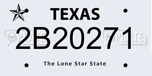 2B20271 Texas License Plate
