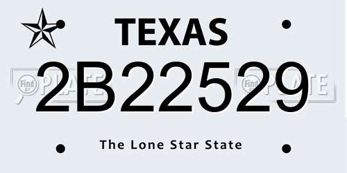2B22529 Texas License Plate