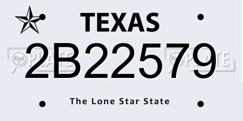 2B22579 Texas License Plate