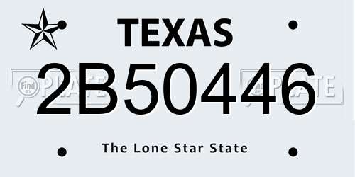 2B50446 Texas License Plate