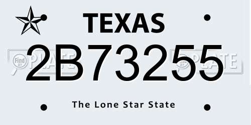 2B73255 Texas License Plate
