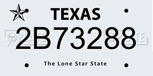 2B73288 Texas License Plate