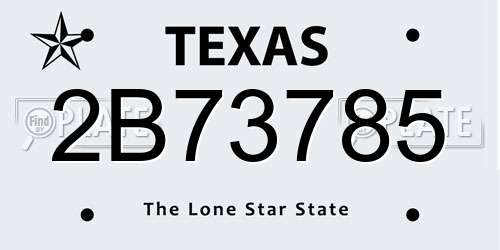 2B73785 Texas License Plate