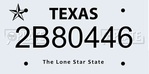 2B80446 Texas License Plate