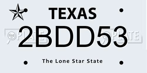 2BDD53 Texas License Plate
