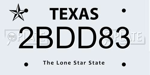2BDD83 Texas License Plate