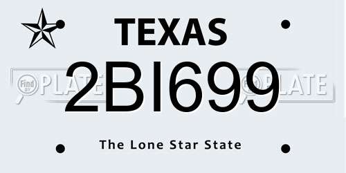 2BI699 Texas License Plate