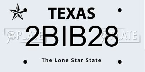 2BIB28 Texas License Plate