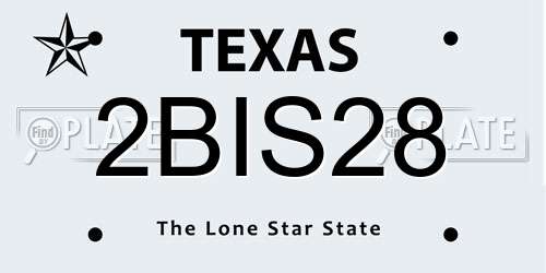 2BIS28 Texas License Plate
