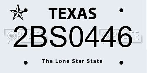 2BS0446 Texas License Plate