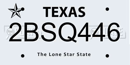 2BSQ446 Texas License Plate
