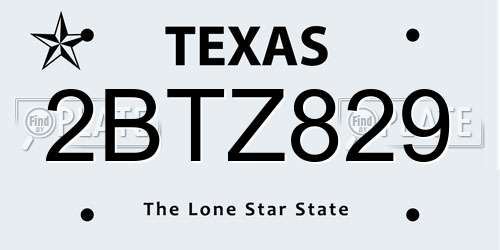 2BTZ829 Texas License Plate