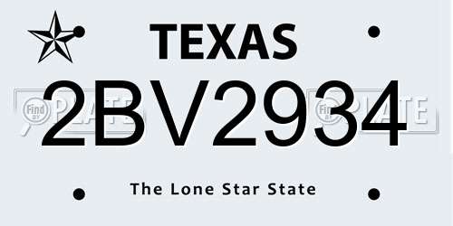 2BV2934 Texas License Plate