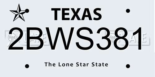 2BWS381 Texas License Plate