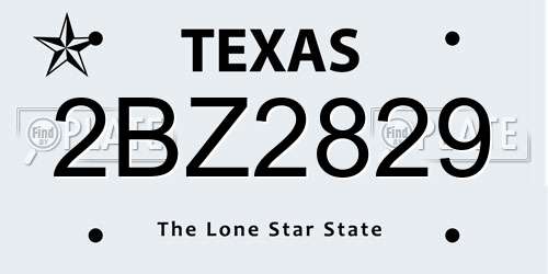 2BZ2829 Texas License Plate