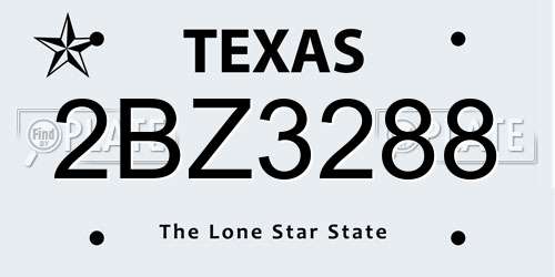2BZ3288 Texas License Plate