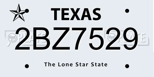 2BZ7529 Texas License Plate