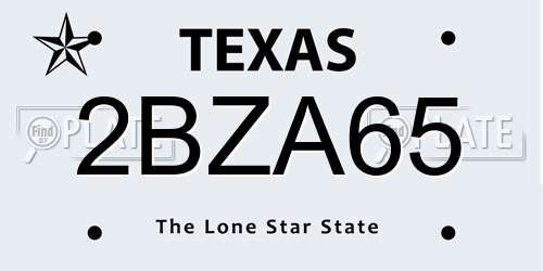 2BZA65 Texas License Plate