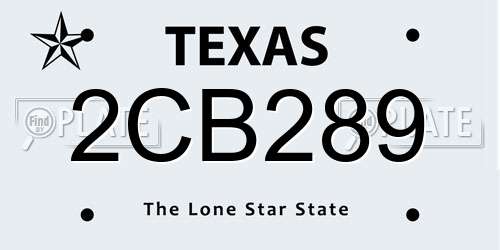 2CB289 Texas License Plate