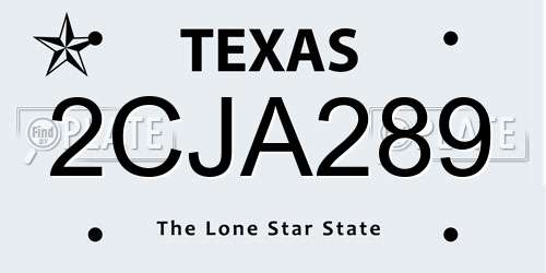 2CJA289 Texas License Plate