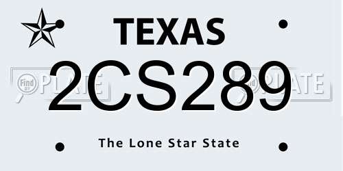 2CS289 Texas License Plate