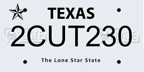2CUT230 Texas License Plate