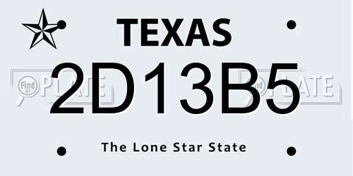 2D13B5 Texas License Plate