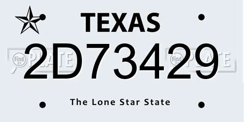 2D73429 Texas License Plate