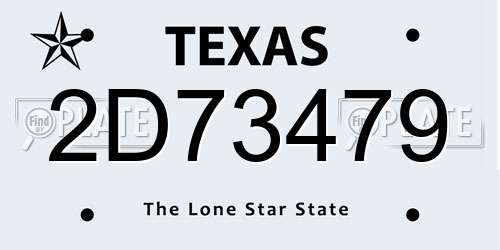 2D73479 Texas License Plate