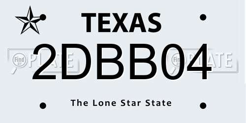 2DBB04 Texas License Plate