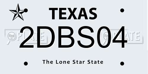 2DBS04 Texas License Plate