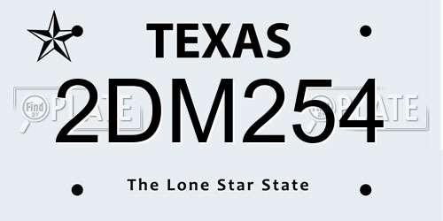 2DM254 Texas License Plate