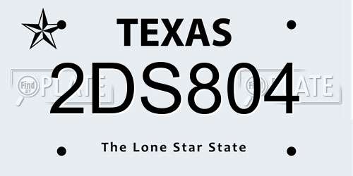 2DS804 Texas License Plate