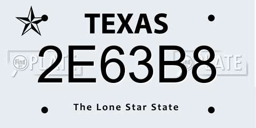 2E63B8 Texas License Plate