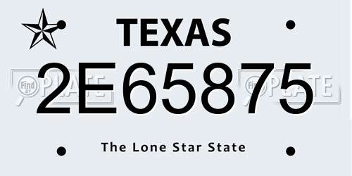 2E65875 Texas License Plate