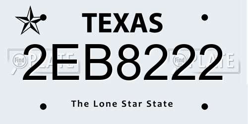 2EB8222 Texas License Plate