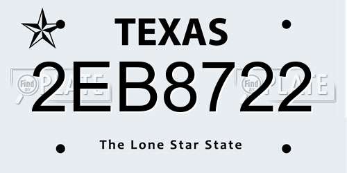 2EB8722 Texas License Plate