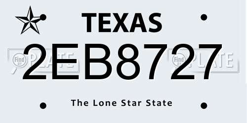 2EB8727 Texas License Plate
