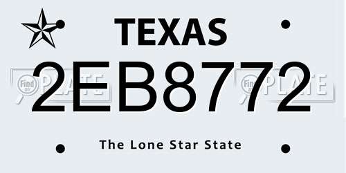 2EB8772 Texas License Plate