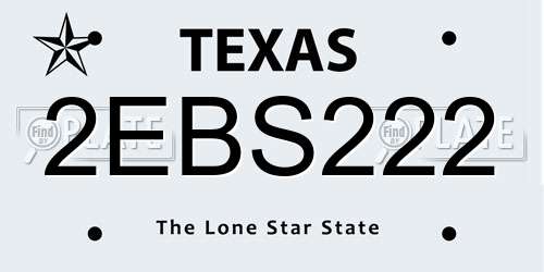 2EBS222 Texas License Plate
