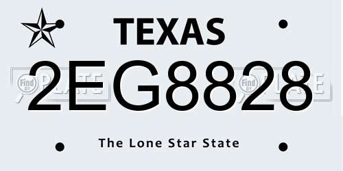 2EG8828 Texas License Plate