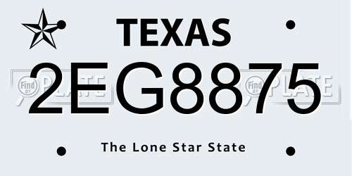 2EG8875 Texas License Plate