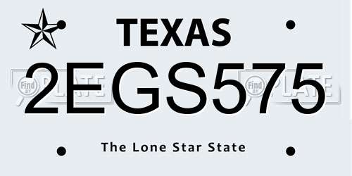 2EGS575 Texas License Plate
