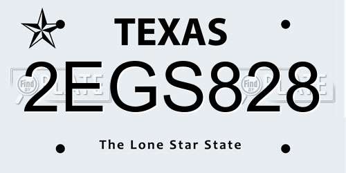 2EGS828 Texas License Plate